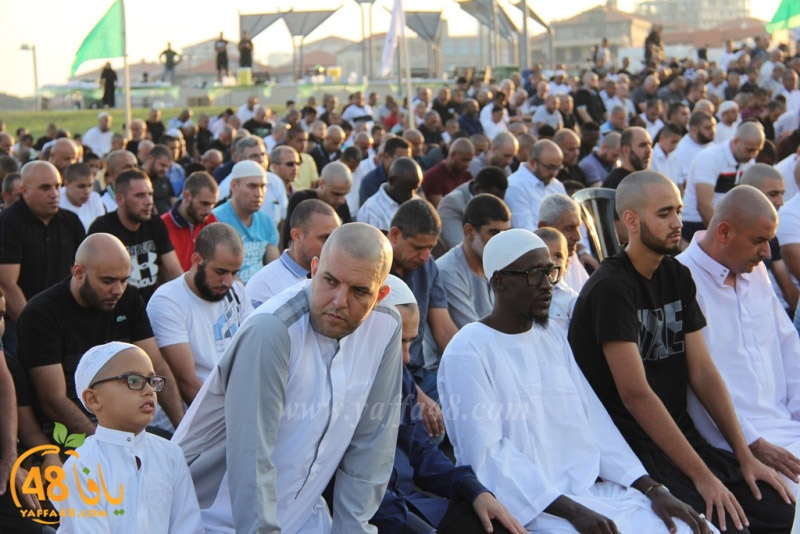 salah 3ed montahzah3 (100).JPG